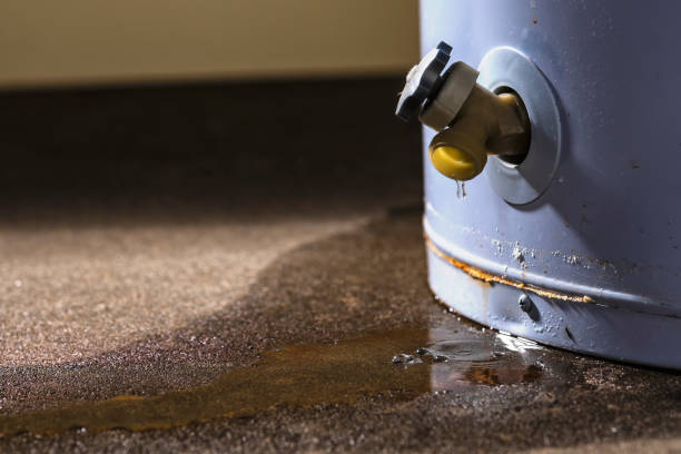Professional Water damage restoration in Mont Clare, PA
