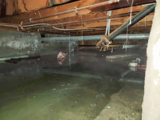 Best Water damage restoration insurance claims  in Mont Clare, PA