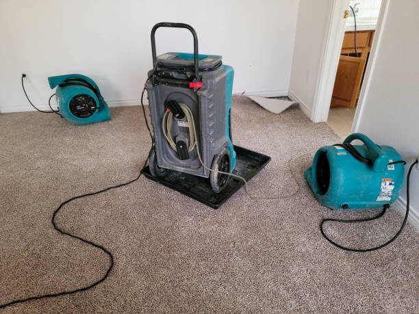 Water damage restoration experts in Mont Clare, PA