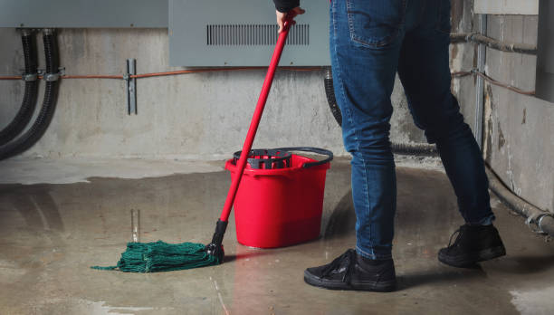Best Fire Damage Restoration  in Mont Clare, PA