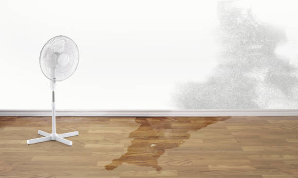 Best Water damage restoration experts  in Mont Clare, PA