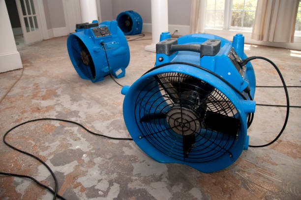 Best Water damage cleanup near me  in Mont Clare, PA