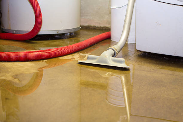 Best Residential water damage restoration  in Mont Clare, PA