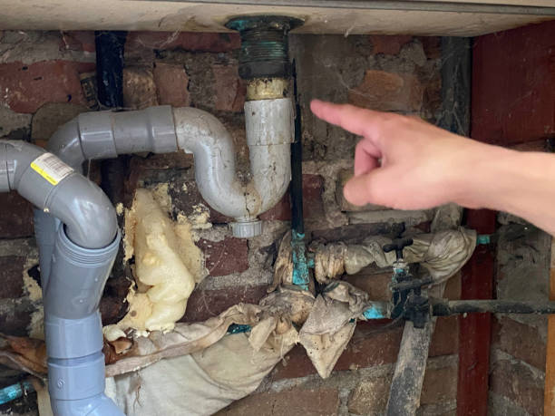 Best Sewage cleanup and water damage restoration  in Mont Clare, PA