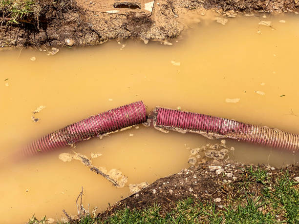 Best Sewage cleanup and water damage restoration  in Mont Clare, PA